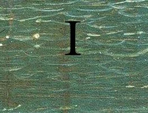 I come Interpretabilità